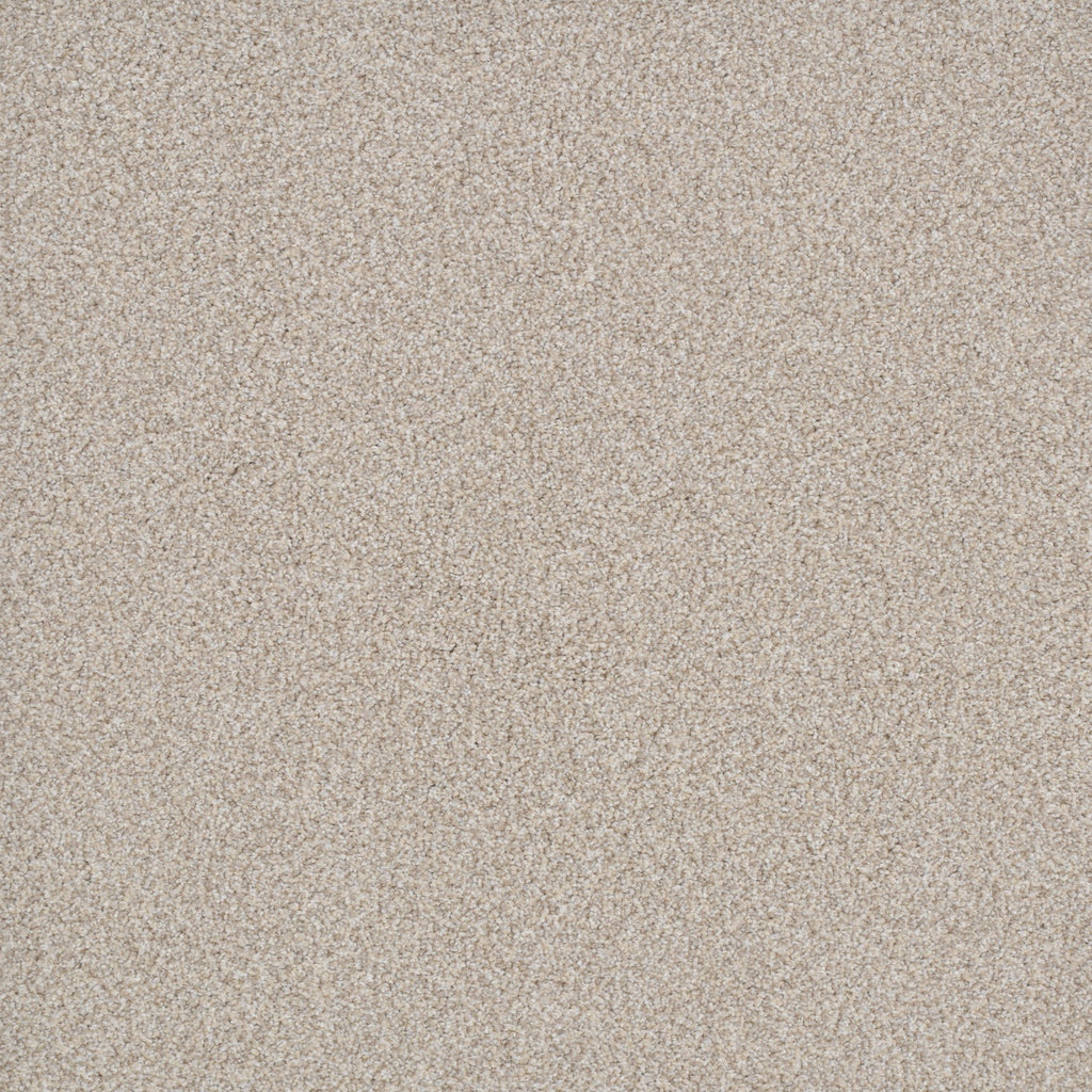 Big Idea Carpet Flooring in Big Dog | Dixie Home — DH Floors