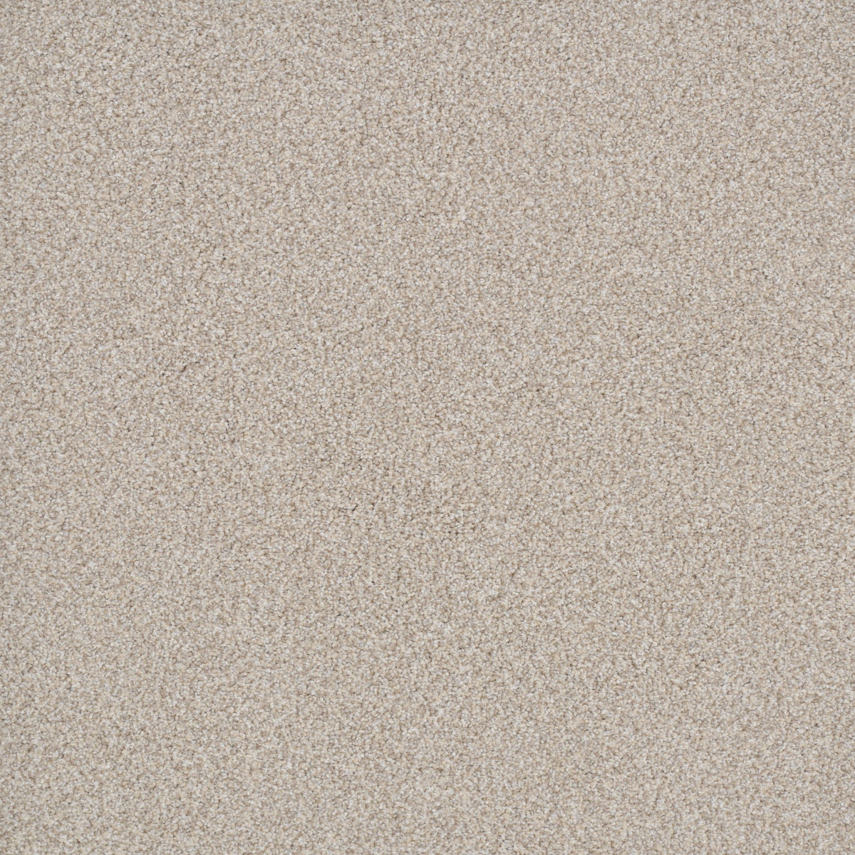 Big Idea Carpet Flooring in Big Dog | Dixie Home — DH Floors