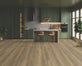 Boardwalk in American Hickory