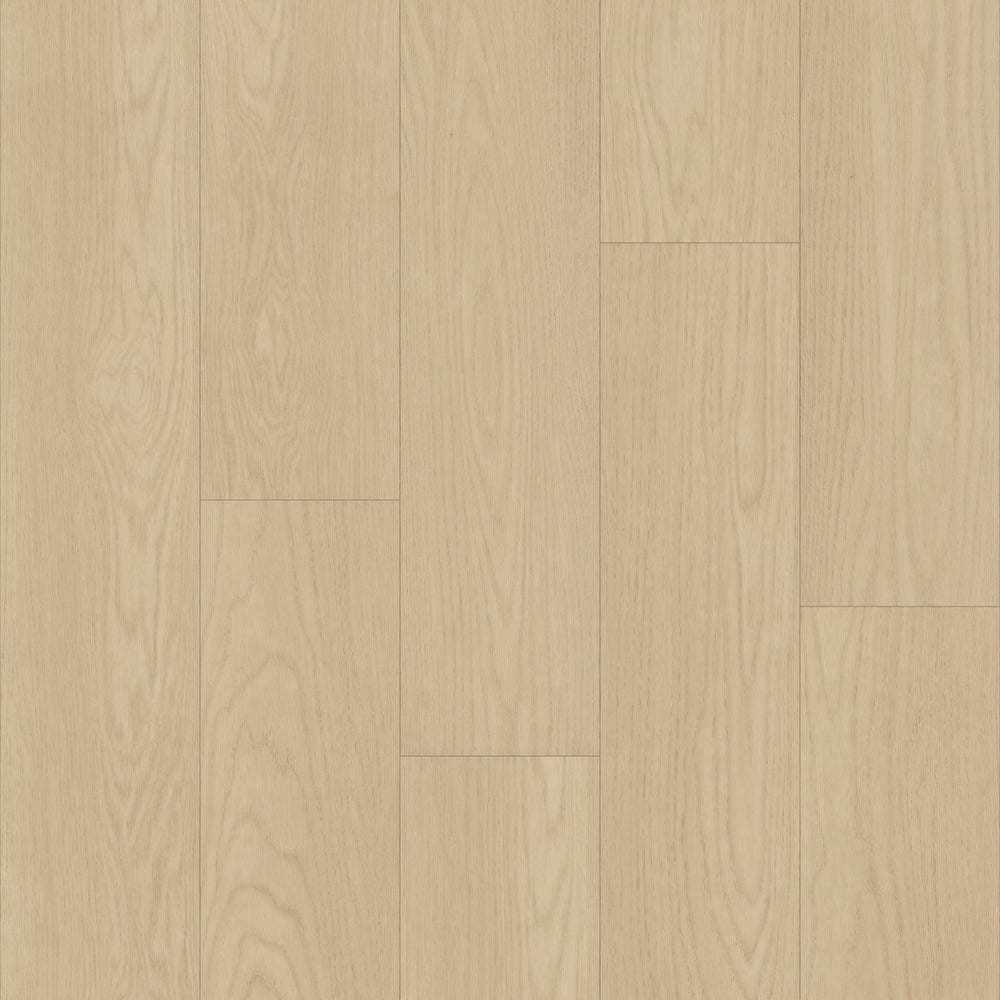 Bravo in Oxford Oak