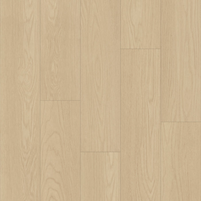 Bravo in Oxford Oak