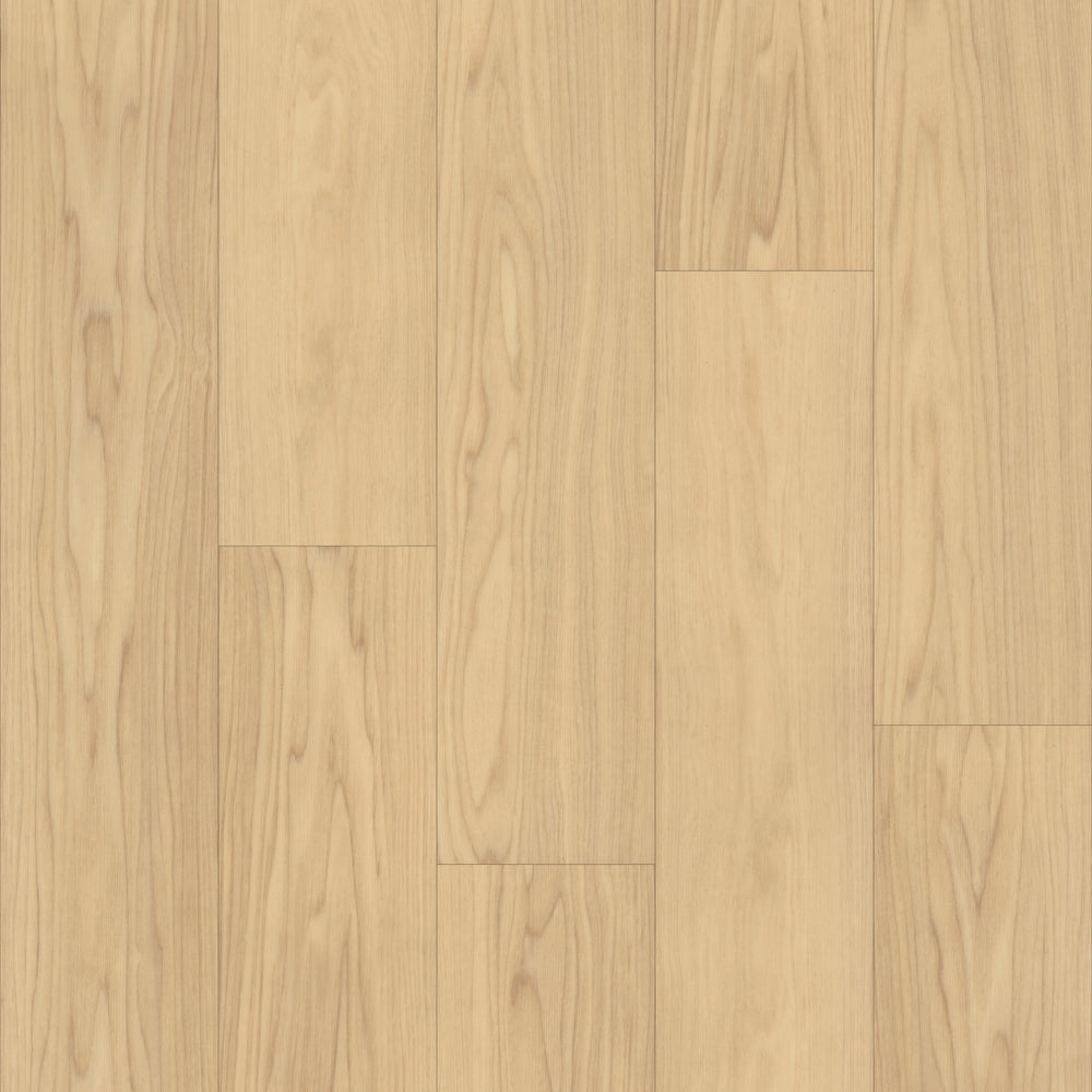 Bravo in Smooth Ash