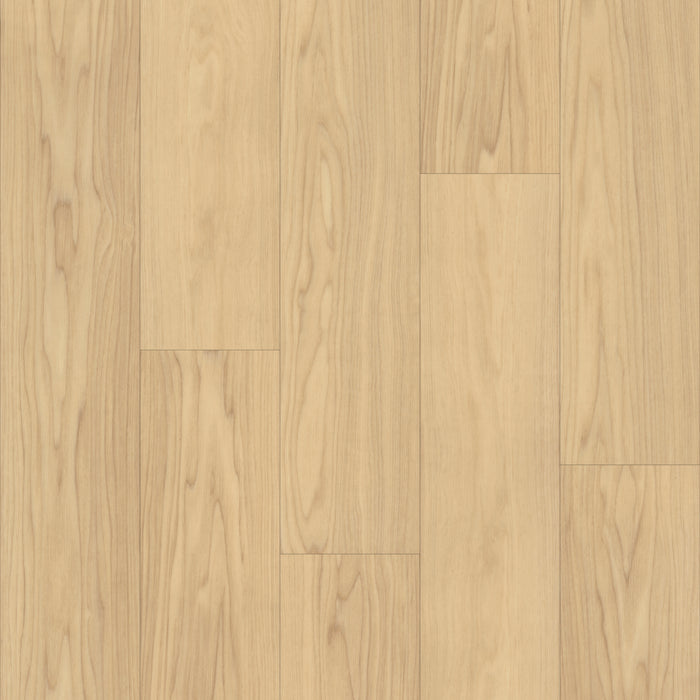 Bravo in Smooth Ash