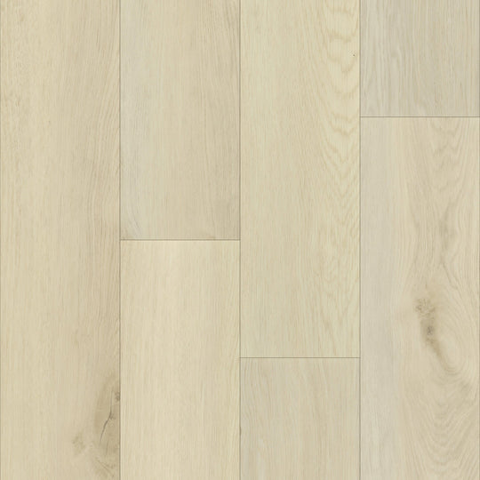 Charlie in Sandstone