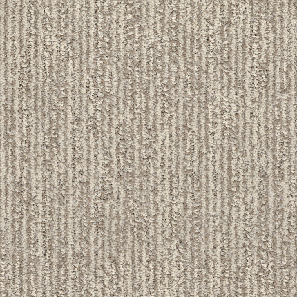 Contentment D083 Carpet Flooring — DH Floors