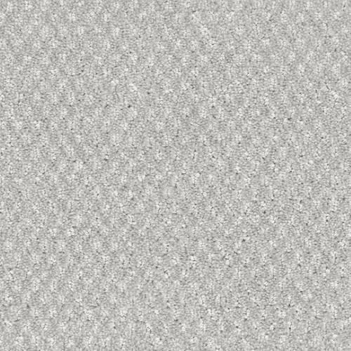 Calm D082 Carpet Flooring — DH Floors