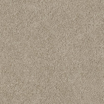 Shell Beige