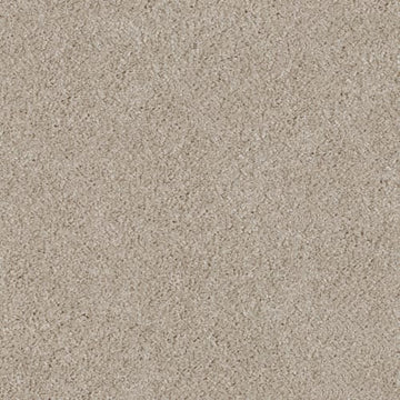 Maple Tint
