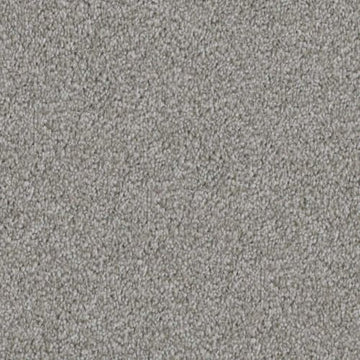 Clam