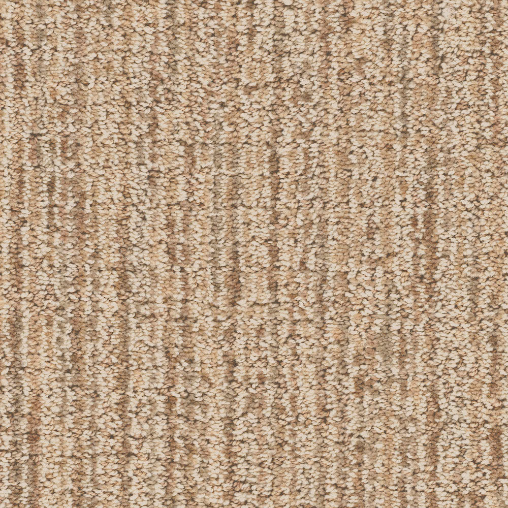 Enticing in Cream Carpet Flooring by DH Floors