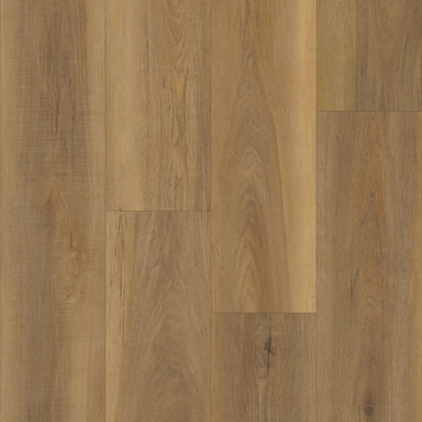 Boardwalk in American Hickory