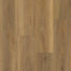Boardwalk in American Hickory