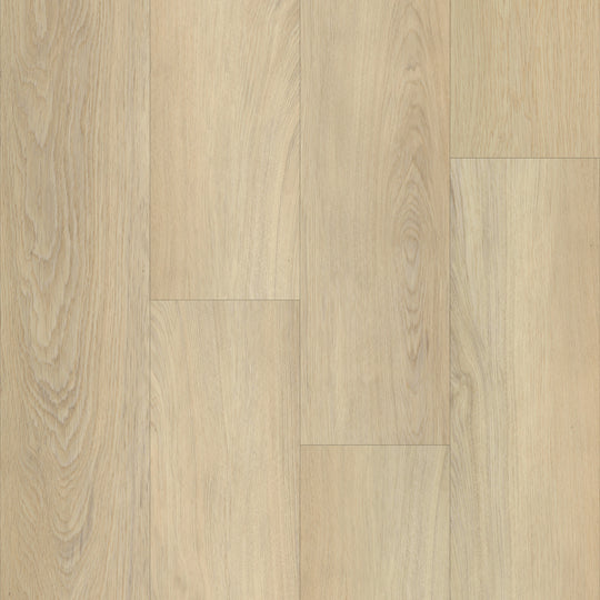 Boardwalk in Castle Oak