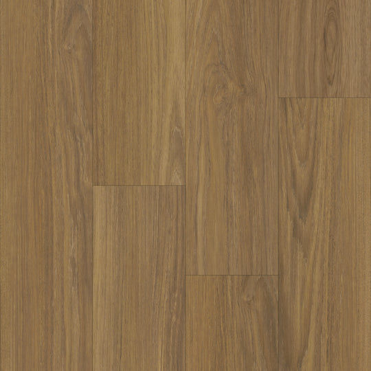 Boardwalk in Laurel Oak