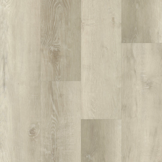 Boardwalk in Calaway Oak