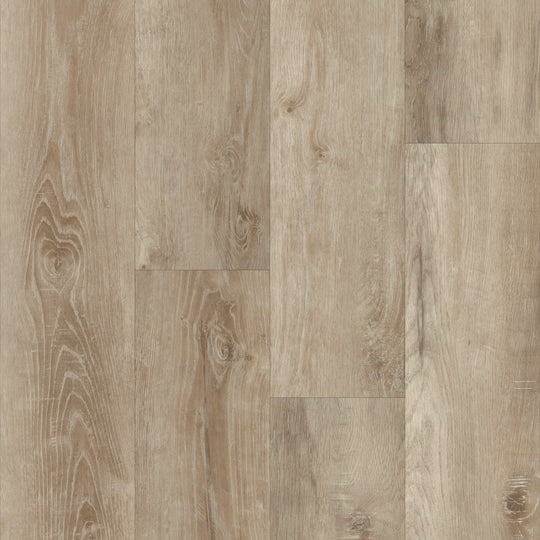 Boardwalk in Estes Oak