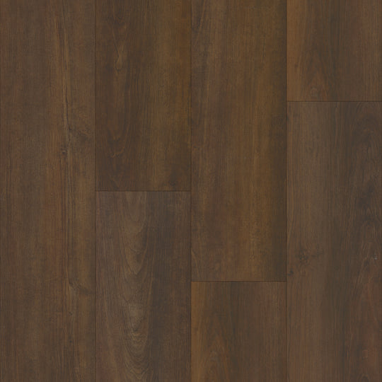 Boardwalk in Rollinger Oak