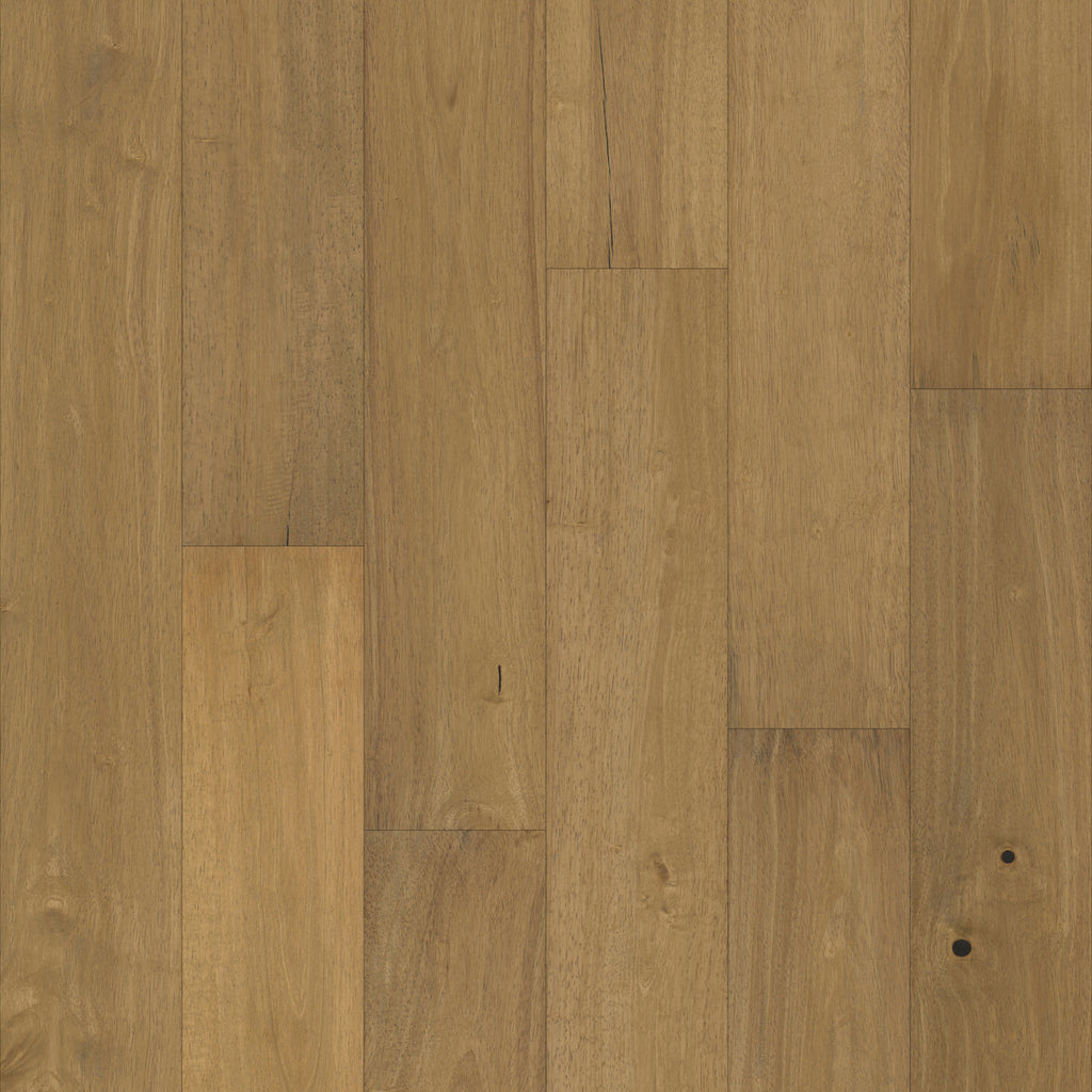 PacificPecan_P1056_D7013_Tabor