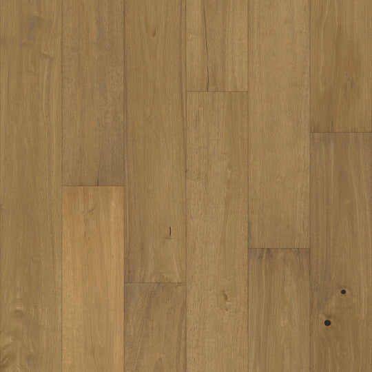 Pacific Pecan in Tabor Pecan