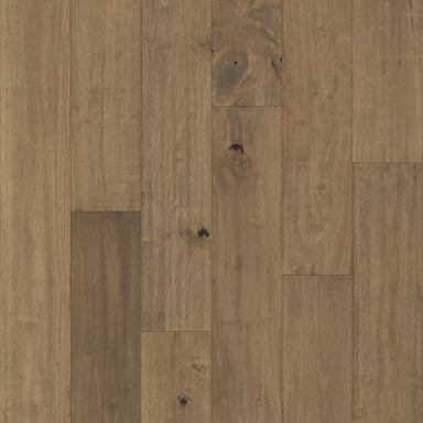 Pacific Pecan in Hamby Pecan