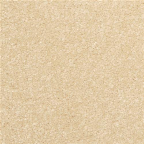 Inspiring 2302 in 27335 Warm Up  Carpet Flooring | Dixie Home