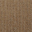 Interlace 5543 in 26121 Townhall   Carpet Flooring | Dixie Home