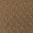 Calm Seas 5544 in 26121 Townhall   Carpet Flooring | Dixie Home