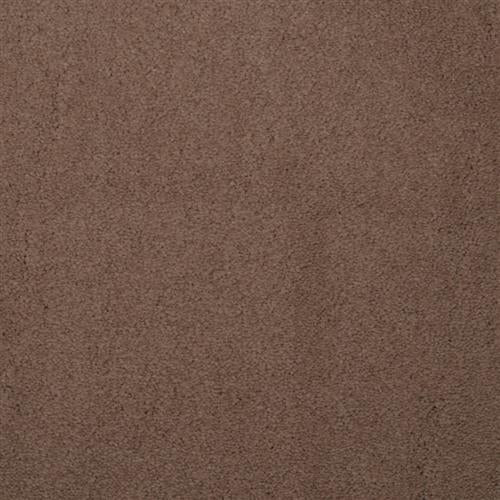 Touch of Velvet 5650 in 36314  Woodrose Carpet Flooring | Dixie Home