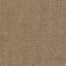 My Style 5778 in 80116 Smoky Ash  Carpet Flooring | Dixie Home