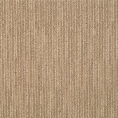 Fantasia 6103 in 28308 Surry   Carpet Flooring | Dixie Home