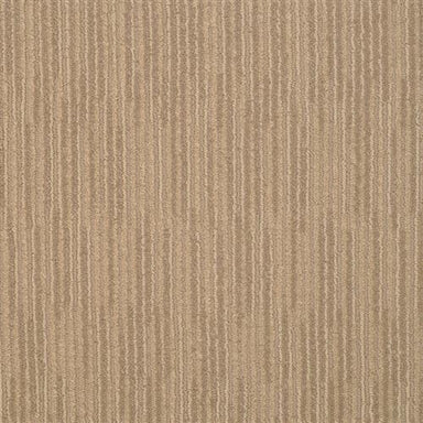 Fantasia 6103 in 28308 Surry   Carpet Flooring | Dixie Home