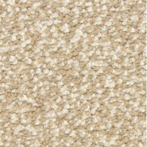 Gusto 6124 in 75008 Thunder   Carpet Flooring | Dixie Home