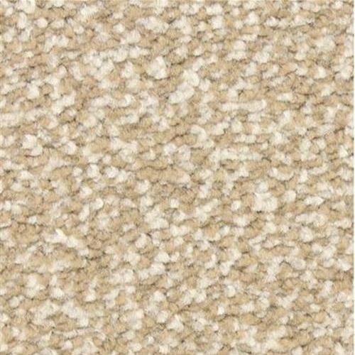 GUSTO　Duo Gusto Carpet Flooring | Dixie Home — DH Floors