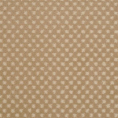 Rain Dance 6251 in 38411 Toast   Carpet Flooring | Dixie Home