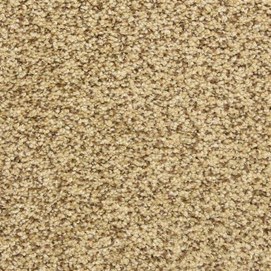 Color Festival 6866 in 70321 Stone Works  Carpet Flooring | Dixie Home