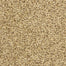 Color Festival 6866 in 70321 Stone Works  Carpet Flooring | Dixie Home