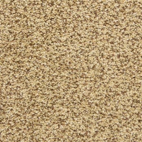 Color Festival Carpet Flooring | Dixie Home — DH Floors