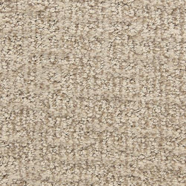 Teton Carpet Flooring  Dixie Home — DH Floors