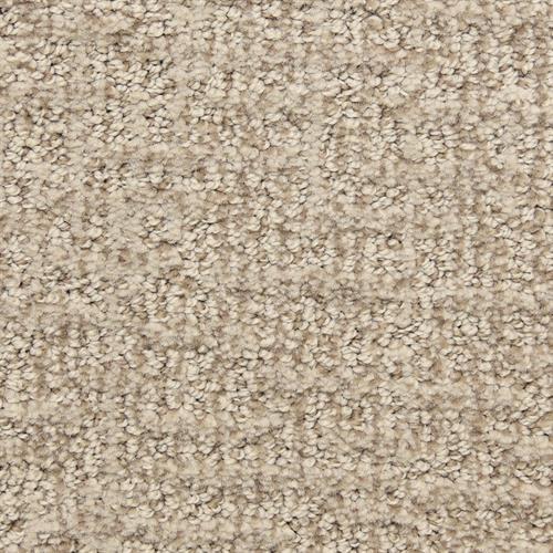 Aspects 6872 in 32049 Tarnished Carpet Flooring | Dixie Home