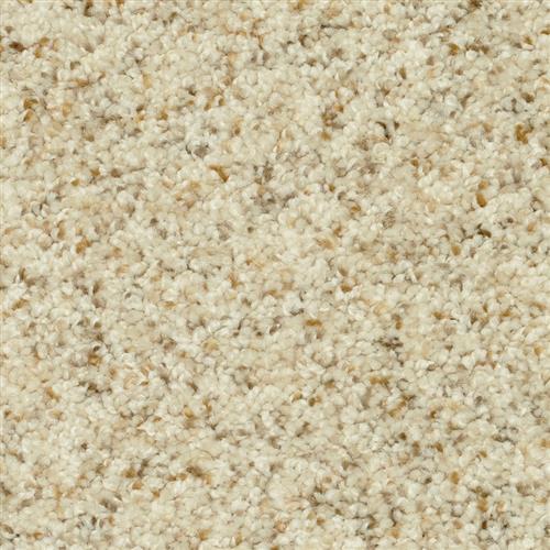 Magic Moment 6946 in 10174 Whisper Bluff  Carpet Flooring | Dixie Home