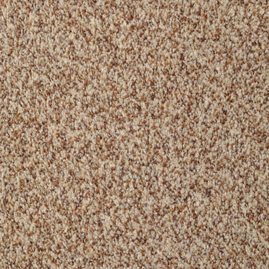 Bombay 40220 in 343 Sumptuous Teak  Carpet Flooring | Dixie Home