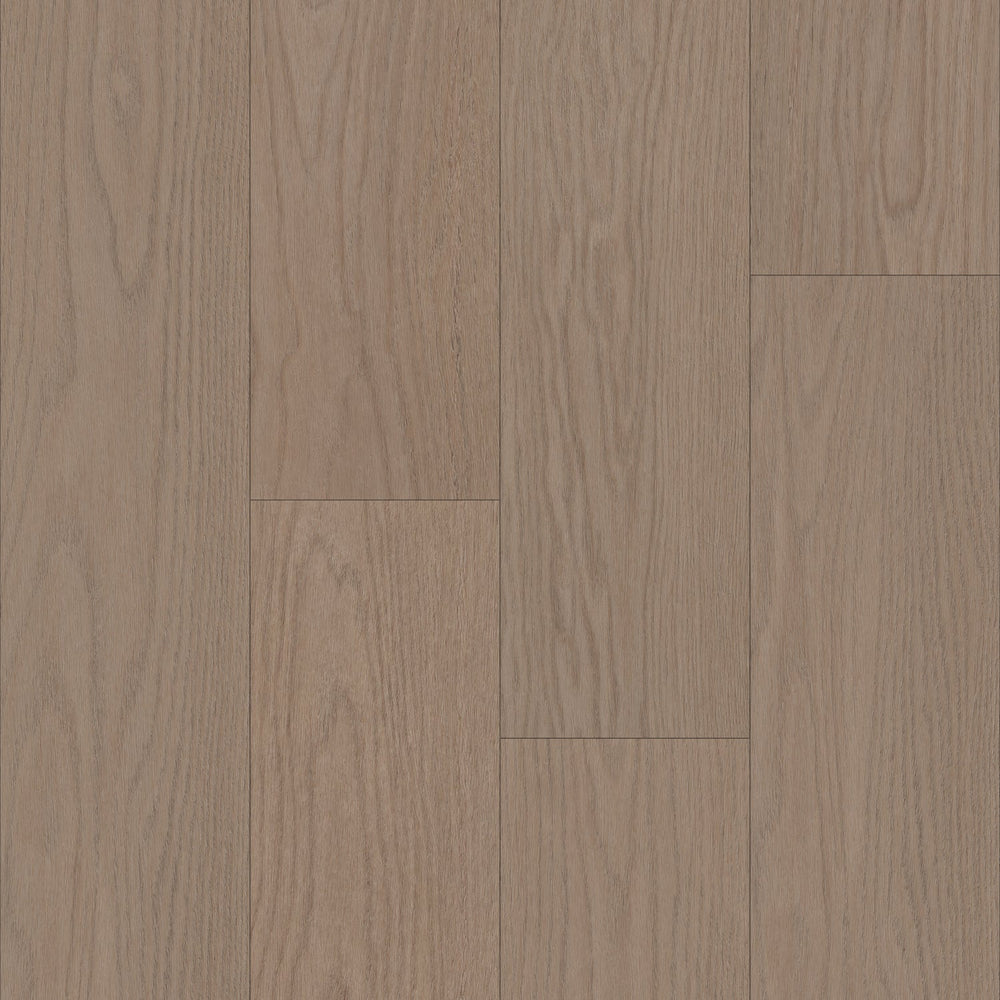 Bravo in Balian Oak