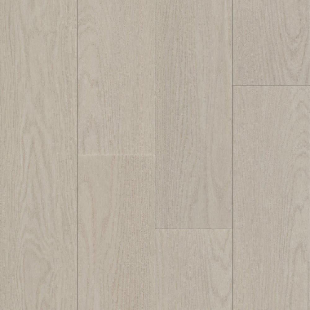 Bravo in Corba Oak