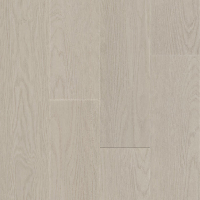 Bravo in Corba Oak