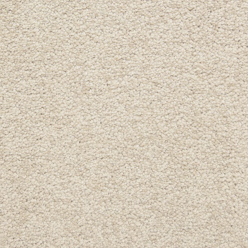 Cassina 5376 in 20257 Wistful   Carpet Flooring | Dixie Home