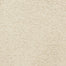 Cortana 5377 in 20209 Bamboo   Carpet Flooring | Dixie Home