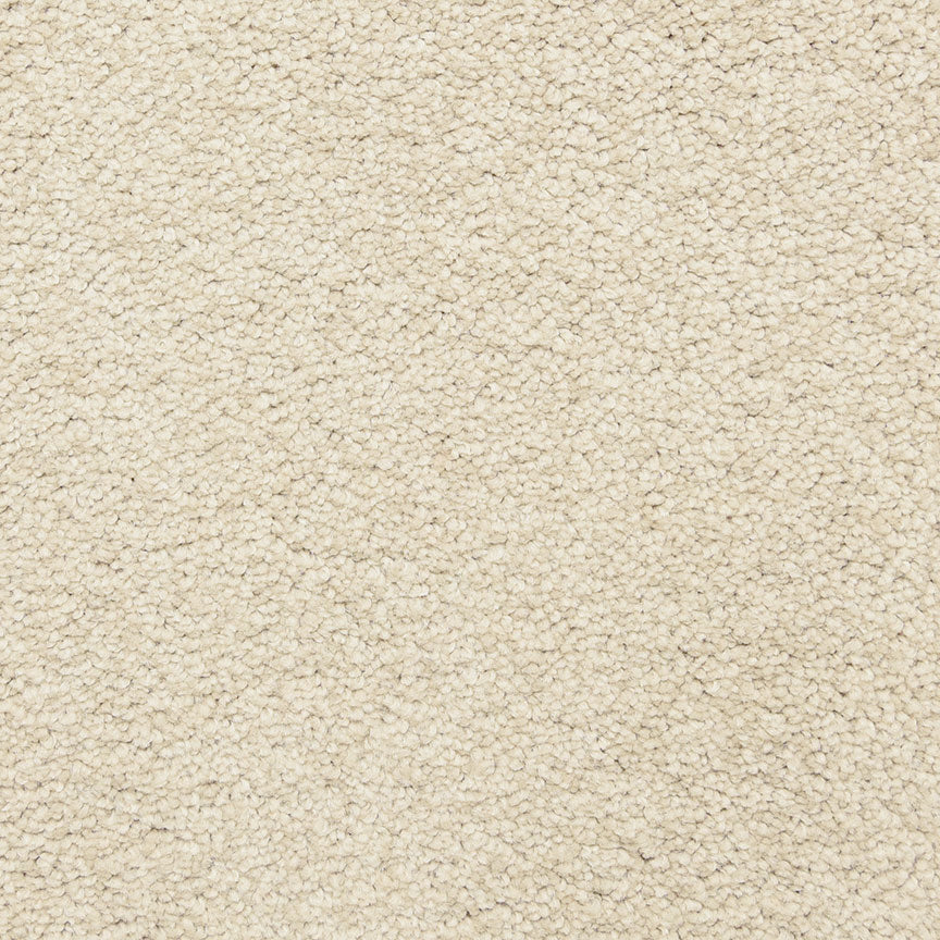 Cortana 5377 in 20209 Bamboo   Carpet Flooring | Dixie Home