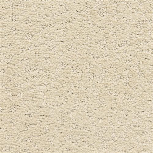 Prize Winner D006 in 13112 Windfall   Carpet Flooring | Dixie Home