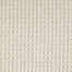 Conqueror D010 in 13112 Windfall Carpet Flooring | Dixie Home