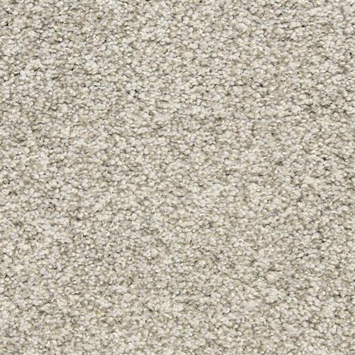 Rochelle Carpet Flooring Dixie Home — DH Floors